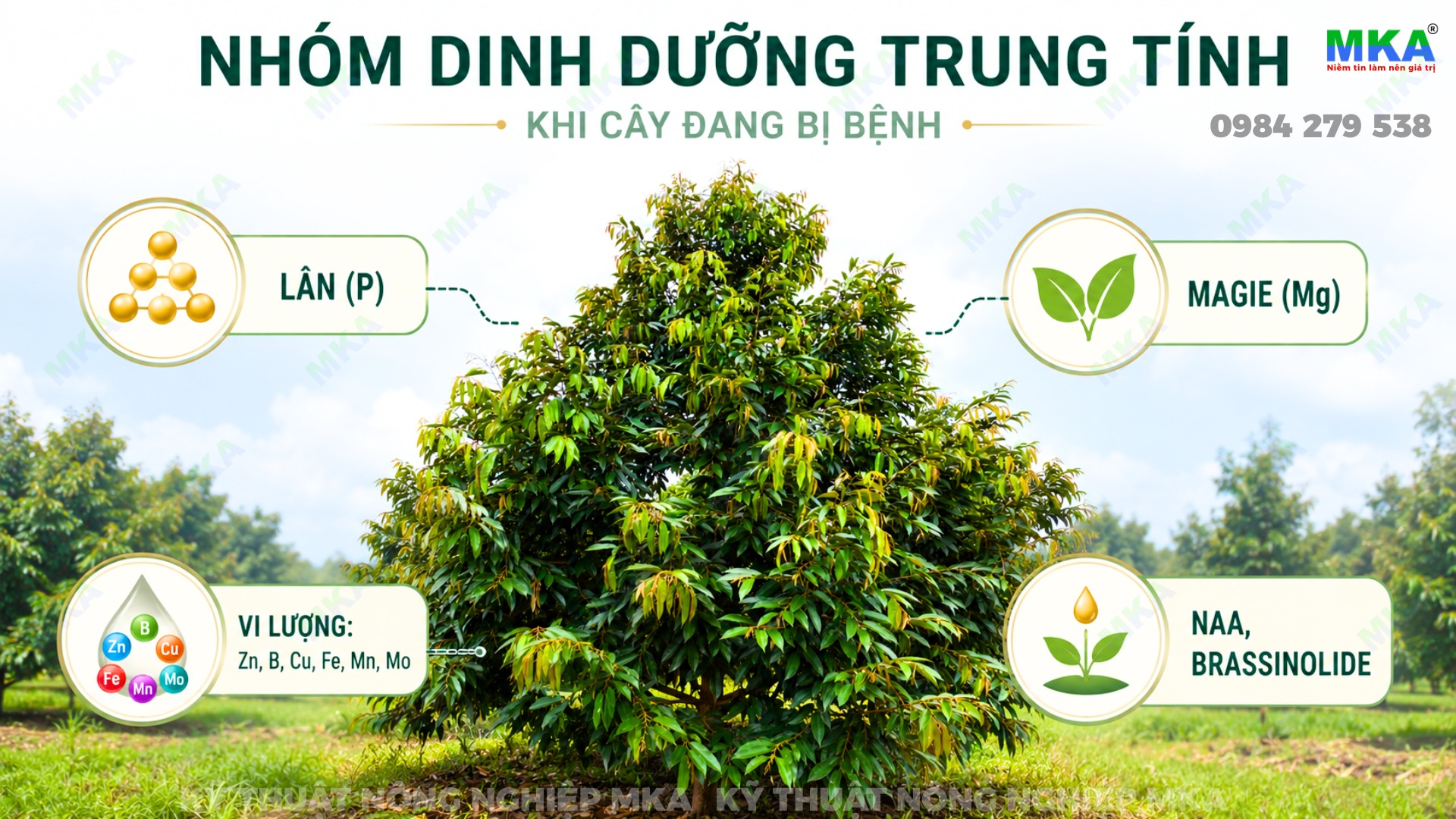 Nhóm dinh dưỡng trung tính khi cây đang bệnh